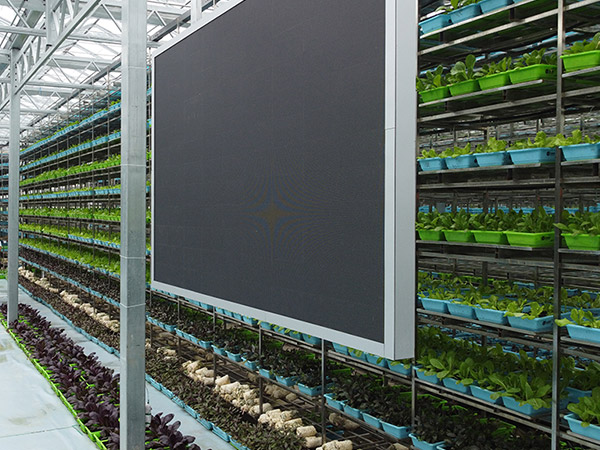 智能無(wú)土栽培大棚