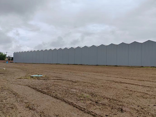 太原連棟玻璃溫室