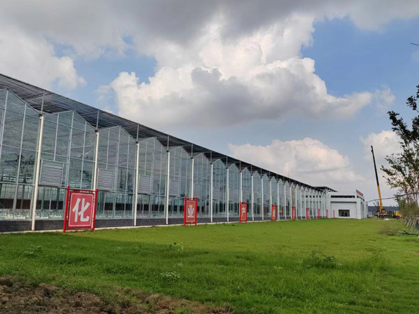 通化智能玻璃溫室大棚