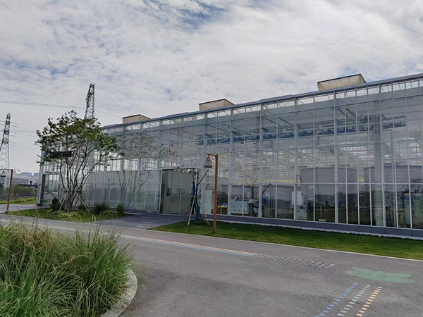 玻璃溫室大棚建設(shè)