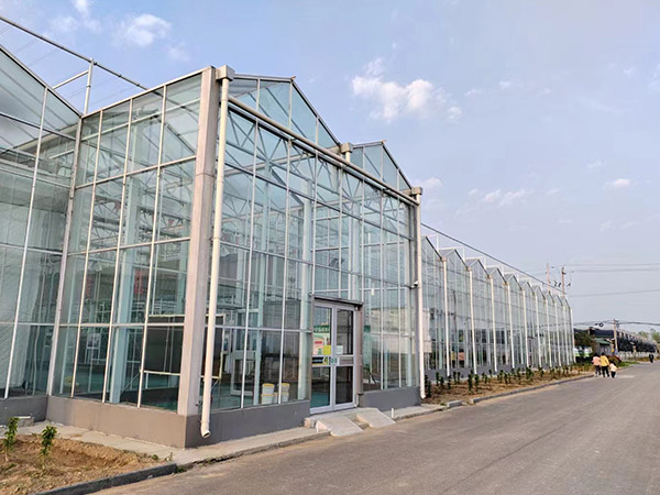 湖南玻璃溫室大棚工程