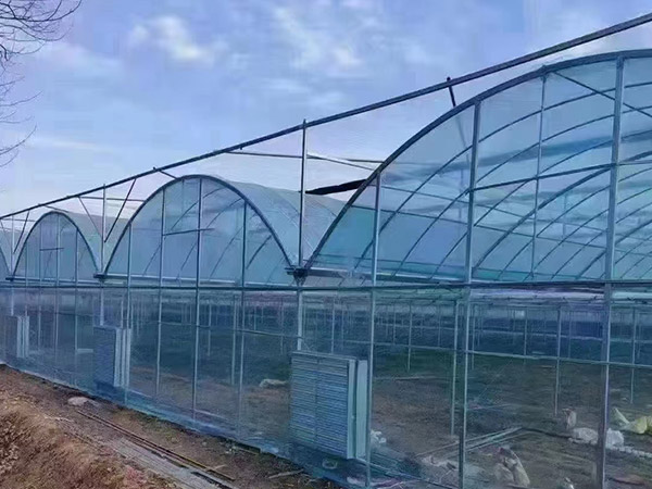 齊齊哈爾連棟薄膜大棚施工