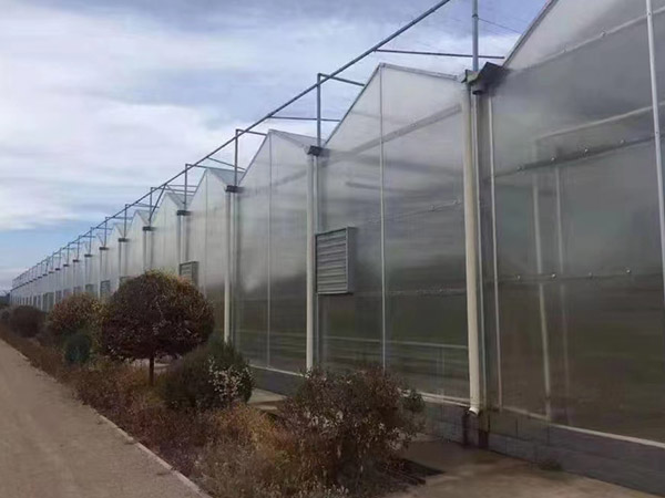 陽光板大棚造價