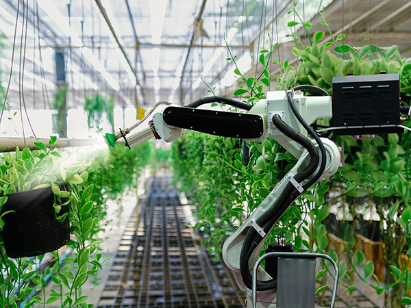 包頭溫室機(jī)器人